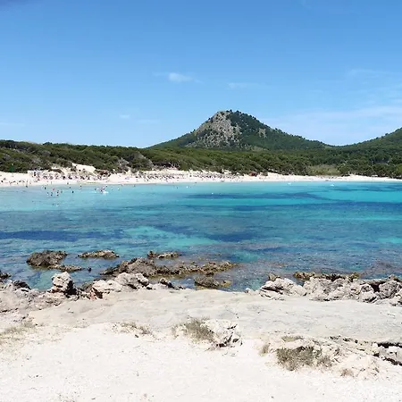 S'olivereta