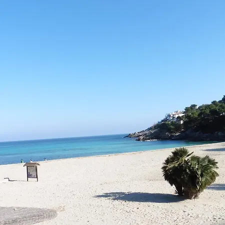 Сasa de vacaciones S'olivereta *
